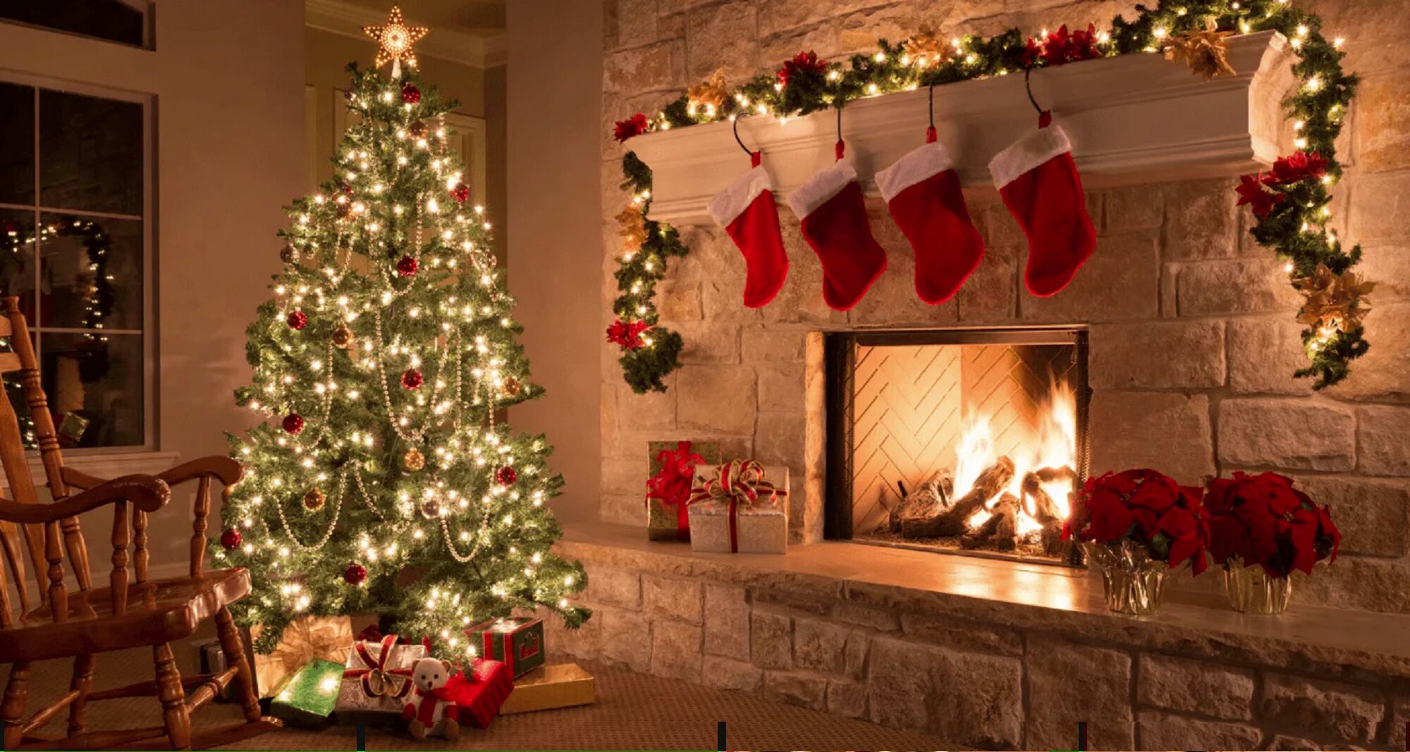 نت شاپ خلیج فارس 1